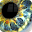 Spooky Eye Download on Windows