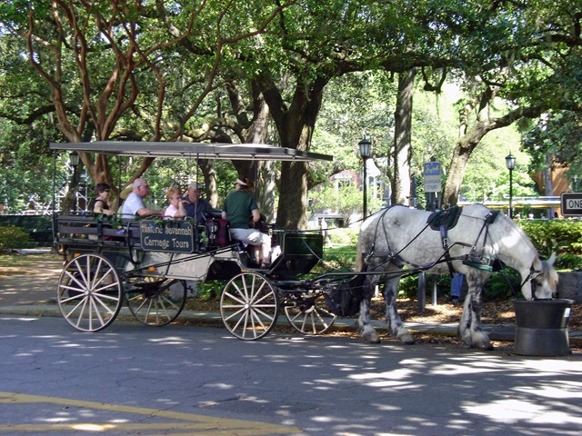 [Horse-and-Carriage[2].jpg]
