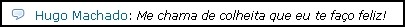 [colheita feliz[4].jpg]