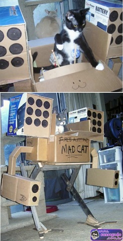 [Gatos 100 assuntos[4].jpg]