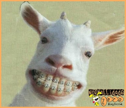 [cabrito[3].jpg]