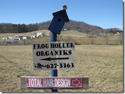 FrogHoller2