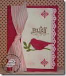Shannon bird card