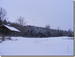 Another view in the snow Another view in the snow