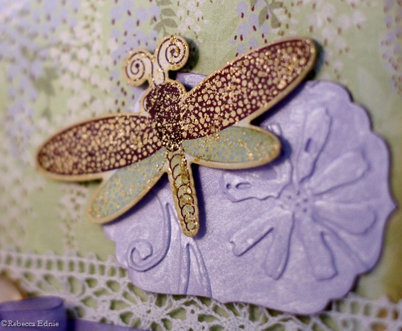 [wisteria dragonfly closeup[4].jpg]