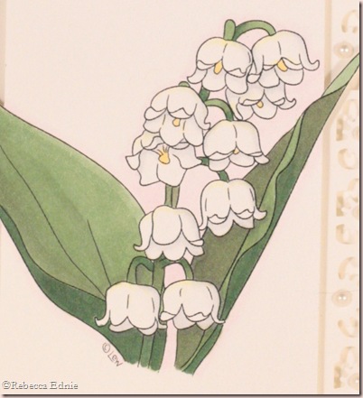 Lily of the valley close up