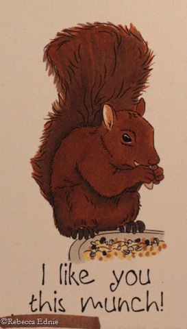 [squirrel munch closeup[4].jpg]