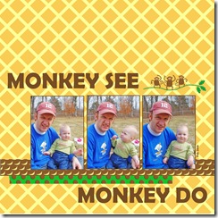 monkey 8 mon