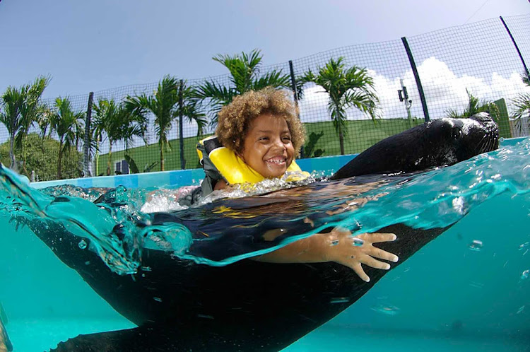 Let your son or daughter get acquainted with sea lions at Coral World & Ocean Park on St. Thomas in the U.S. Virgin Islands. 