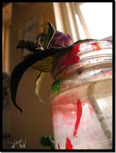 buddleia in jar