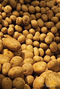 Potatoes at Sagada's Saturday Market