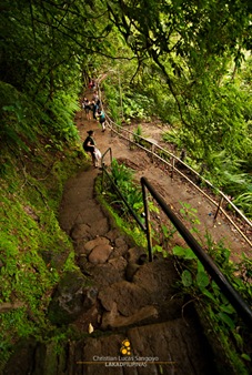 Going Down the Path to Majayjay's Taytay Falls