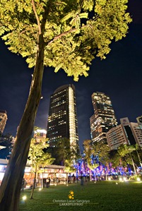 Trees and Skyscrapers at the Ayala Triangle