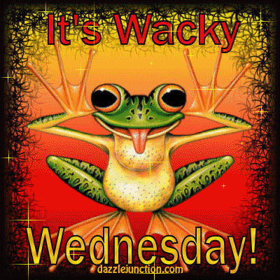 wednesday-frog