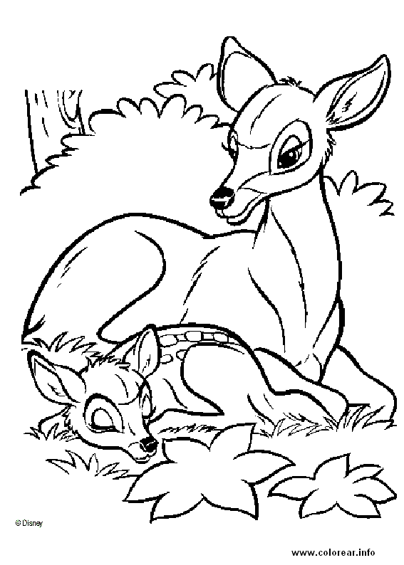 [Bambi01[2].gif]