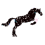 [caballos[5].gif]