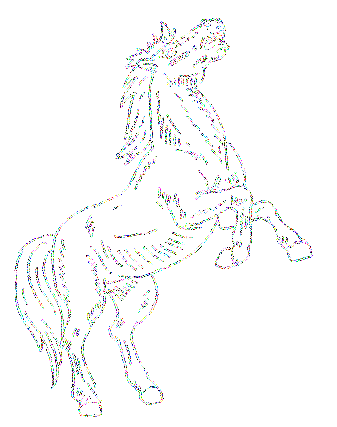 caballos (20)