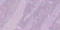 [A12[2].gif]