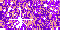 [violet-01[2].gif]