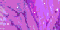 [glitz-05[2].gif]