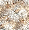 [th_Glitter2020711[2].gif]