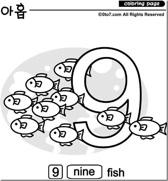 9 peces.gif