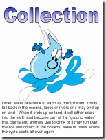 cwatercycle5