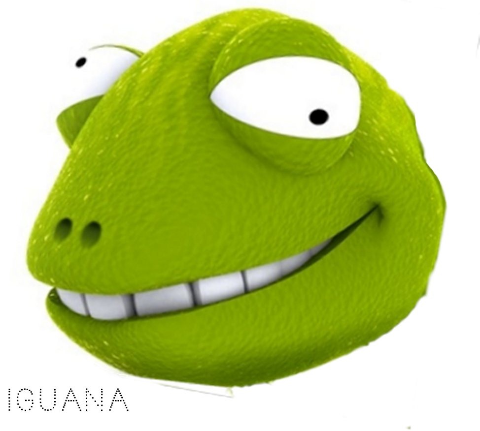 [máscara iguana loca 1[2].jpg]