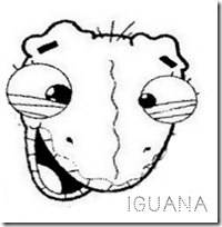 iguana4 1