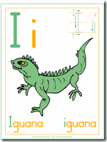 iguana blogcolorear (5)
