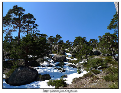 Alrededores de Pradera de Majalasna