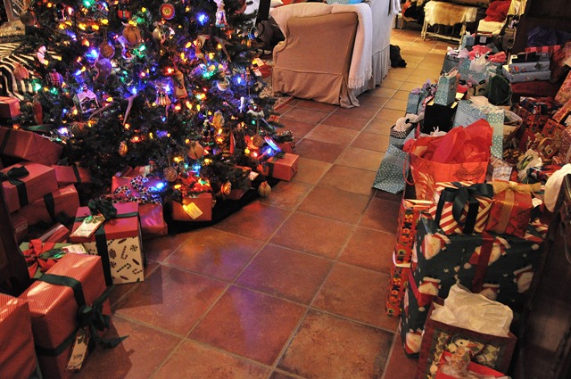 [Xmas09 004.jpg]