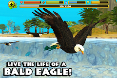 Eagle Simulator™