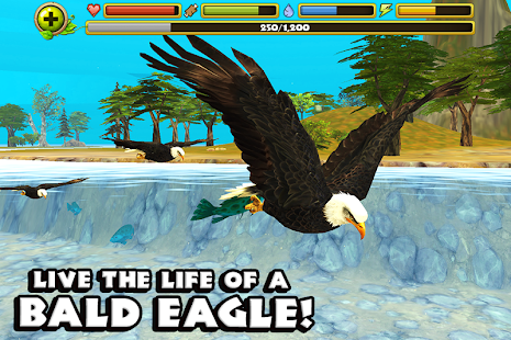 Eagle Simulator™(圖1)-速報App