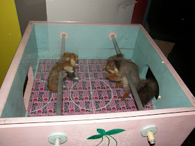 Roham, Budapest,  Galéria, kocsma, Bár, VIII. kerület, Vas utca,  