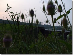 DSCF1904