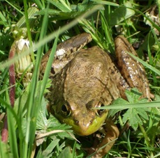 DSCF1058