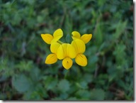 DSCF1758