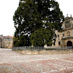 18 Abadía patio, entrada y sequoya milenaria gigante.jpg