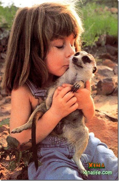 Book livro Tippi pequena garota e sua amizade com Animais selvagens  (4)