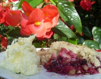 crumble fruits rouges 3