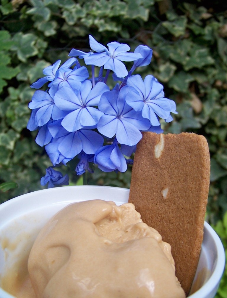 [glace aux speculoos[4].jpg]