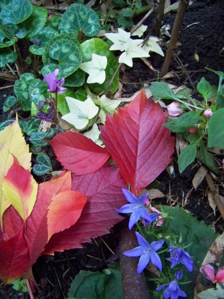 [bouquet d'automne pour Diane[5].jpg]