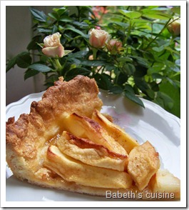 tarte aux pommes du dimanche morceau tarte aux pommes du dimanche morceau