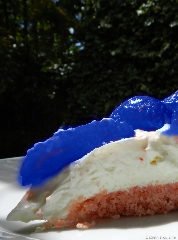 [cheese cake fraises chocolat blanc détail-1 bleu[7].jpg]