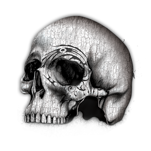 Skulls Live Wallpaper - FREE 1.1