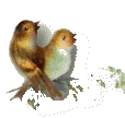 dsc.png