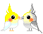 .png