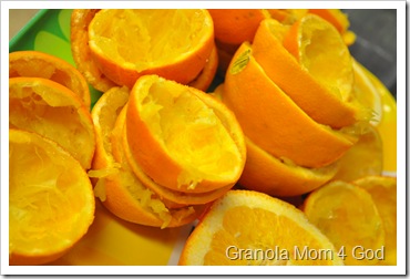 Orange Juice 481