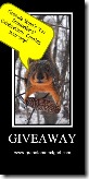 squirrels006-1